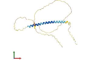 Protein Structure (PS) image for Transcription Elongation Factor A (SII)-Like 2 (TCEAL2) (AA 1-227) protein (His tag) (ABIN7544199)