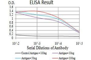 ELISA image for anti-MOB1, Mps One Binder Kinase Activator-Like 1B (MOBKL1B) (AA 1-216) antibody (ABIN5542650)