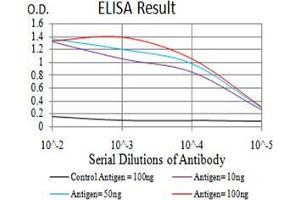 Black line: Control Antigen (100 ng);Purple line: Antigen (10ng); Blue line: Antigen (50 ng); Red line:Antigen (100 ng) (MOB1A 抗体  (AA 1-216))