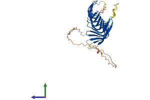 AlphaFold protein structure predicition of Mouse Recombinant Rsph1 Protein, UniprotID Q8VIG3 (RSPH1 Protein (AA 1-301) (His tag))