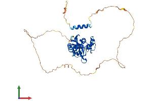 AlphaFold protein structure predicition of Mouse Recombinant Isg20l2 Protein, UniprotID Q3U1G5