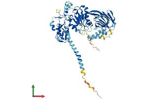 AlphaFold protein structure predicition of Human Recombinant DGKE Protein, UniprotID P52429