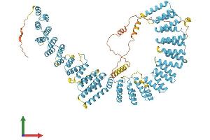 AlphaFold protein structure predicition of Human Recombinant XAB2 Protein, UniprotID Q9HCS7