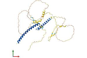 Protein Structure (PS) image for Protein L-Myc (MYCL) (AA 1-368) protein (His tag) (ABIN7562823)