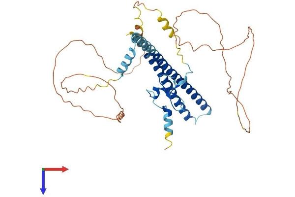 ING3 Protein (AA 1-418) (His tag)