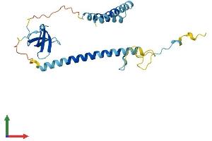 Protein Structure (PS) image for Survival Motor Neuron Domain Containing 1 (SMNDC1) (AA 1-238) protein (His tag) (ABIN7546307)