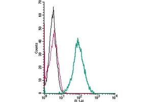 Flow Cytometry (FACS) image for anti-Receptor (G Protein-Coupled) Activity Modifying Protein 1 (RAMP1) (AA 27-38), (Extracellular) antibody (ABIN7043595)