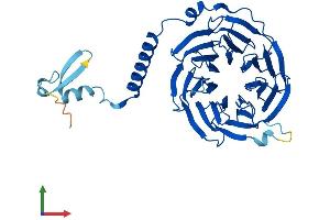 Protein Structure (PS) image for Guanine Nucleotide Binding Protein (G Protein), beta 5 (GNB5) (AA 1-395) protein (His tag) (ABIN7547847)