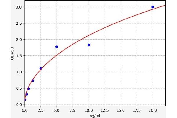 SH3BP2 ELISA 试剂盒