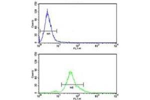 ACP1 antibody flow cytometry analysis of human HeLa cells (bottom histogram) compared to a negative control (top histogram). (ACP1 抗体  (AA 33-61))