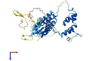 FBXO25 Protein (AA 1-367) (His tag)