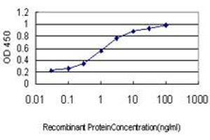 Detection limit for recombinant GST tagged KREMEN1 is approximately 0. (KREMEN1 抗体  (AA 310-391))