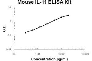 Mouse IL-11 Accusignal ELISA Kit Mouse IL-11 AccuSignal ELISA Kit standard curve. (IL-11 ELISA 试剂盒)