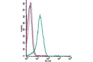 Cell surface detection of SLC7A8 by indirect flow cytometry in live intact human Jurkat T-cell leukemia cell line: + goat-anti-rabbit-FITC.
