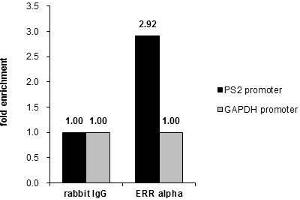 ChIP Image Cross-linked ChIP was performed with MCF-7 chromatin extract and 5 μg of either control rabbit IgG or anti-ERR alpha antibody. (ESRRA 抗体)