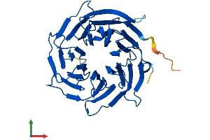 Protein Structure (PS) image for Peroxisomal Biogenesis Factor 7 (PEX7) (AA 1-323) protein (His tag) (ABIN7550693)