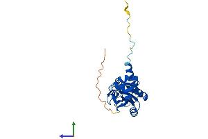 Protein Structure (PS) image for mRNA Turnover 4 Homolog (MRTO4) (AA 1-239) protein (His tag) (ABIN7549571)
