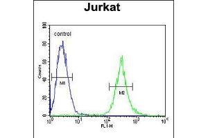 Flow cytometric analysis of Jurkat cells (right histogram) compared to a negative control cell (left histogram). (APITD1 抗体  (AA 48-74))