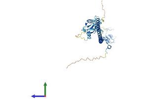 Protein Structure (PS) image for Tripartite Motif Containing 63 (TRIM63) (AA 1-350) protein (His tag) (ABIN7557031)