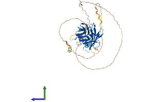 Protein Structure (PS) image for Tubby Homolog (TUB) (AA 1-505) protein (His tag) (ABIN7563367)