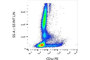 Flow cytometry analysis (surface staining) of human peripheral blood cells with anti-human CD1c (clone L161) PE. (CD1c 抗体  (PE))