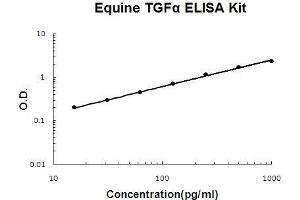 Horse equine TGF alpha PicoKine ELISA Kit standard curve (TGFA ELISA 试剂盒)