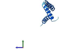 AlphaFold protein structure predicition of Mouse Recombinant Dpm3 Protein, UniprotID Q9D1Q4