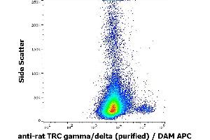 Flow cytometry surface staining pattern of rat splenocytes stained using anti-rat TCR gamma/delta (V65) purified antibody (concentration in sample 0,6 μg/mL, DAM APC). (TCR gamma/delta 抗体)