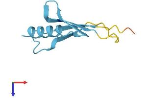 AlphaFold protein structure predicition of Human Recombinant UBE2DNL Protein, UniprotID Q8IWF7