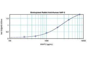 Image no. 1 for anti-Pro-Platelet Basic Protein (Chemokine (C-X-C Motif) Ligand 7) (PPBP) antibody (Biotin) (ABIN465450)
