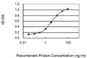 Detection limit for recombinant GST tagged RRP15 is 0. (RRP15 抗体  (AA 1-259))