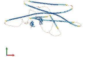 Protein Structure (PS) image for CAP-GLY Domain Containing Linker Protein 2 (CLIP2) (AA 1-1047) protein (His tag) (ABIN7565256)
