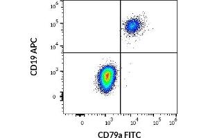 Flow cytometry multicolor surface staining pattern of human lymphocytes using anti-human CD19 (LT19) APC antibody (10 μL reagent / 100 μL of peripheral whole blood) and intracellular staining of human lymphocytes using anti-human CD79a (HM57) FITC antibody (4 μL reagent / 100 μL of peripheral whole blood). (CD79a 抗体  (AA 202-216) (FITC))
