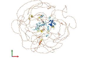 Protein Structure (PS) image for Additional Sex Combs Like 1 (ASXL1) (AA 1-1514) protein (His tag) (ABIN7563481)