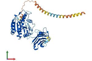 Protein Structure (PS) image for Mannosyl (Alpha-1,3-)-Glycoprotein beta-1,4-N-Acetylglucosaminyltransferase, Isozyme C (MGAT4C) (AA 1-478) protein (His tag) (ABIN7560936)
