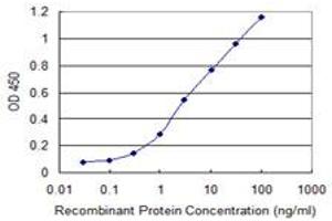 Detection limit for recombinant GST tagged DEPDC1 is 0. (DEPDC1 抗体  (AA 93-186))