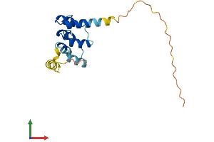 Protein Structure (PS) image for Ankyrin Repeat Domain 37 (ANKRD37) (AA 1-159) protein (His tag) (ABIN7557415)