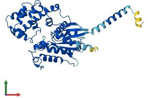 AlphaFold protein structure predicition of Mouse Recombinant Gnaq Protein, UniprotID P21279