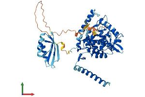 Protein Structure (PS) image for Tryptophan Hydroxylase 2 (TPH2) (AA 1-488) protein (His tag) (ABIN7559329)