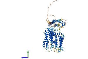 Protein Structure (PS) image for Xenotropic and Polytropic Retrovirus Receptor 1 (xpr1) (AA 1-696) protein (His tag) (ABIN7556025)