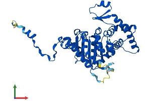 AlphaFold protein structure predicition of Mouse Recombinant Dhps Protein, UniprotID Q3TXU5