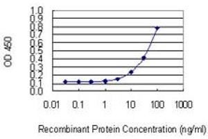 Detection limit for recombinant GST tagged NUDT13 is 1 ng/ml as a capture antibody. (NUDT13 抗体  (AA 2-110))