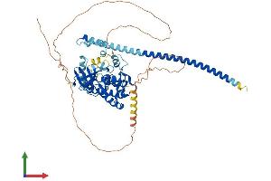 Protein Structure (PS) image for Mitogen-Activated Protein Kinase Kinase Kinase 7 (MAP3K7) (AA 1-579) protein (His tag) (ABIN7563940)