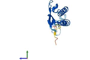 Protein Structure (PS) image for Golgin A7 (GOLGA7) (AA 1-137) protein (His tag) (ABIN7548148)