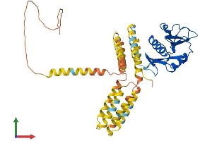 Protein Structure (PS) image for C-Type Lectin Domain Family 4, Member M (CLEC4M) (AA 1-399) protein (His tag) (ABIN7553516)