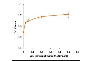 Activity Assay (AcA) image for Chemokine (C-C Motif) Ligand 22 (CCL22) (Active) protein (ABIN5509429) (CCL22 蛋白)