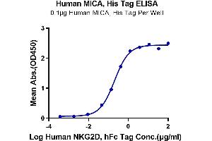ELISA image for MHC Class I Polypeptide-Related Sequence A (MICA) (AA 24-308) protein (His-Avi Tag) (ABIN7275255)