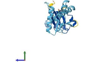 Protein Structure (PS) image for Gem (Nuclear Organelle) Associated Protein 6 (GEMIN6) (AA 1-167) protein (His tag) (ABIN7547893)