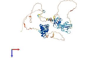 RGS14 Protein (AA 1-566) (His tag)