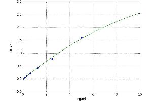 A typical standard curve (WNT5A ELISA 试剂盒)